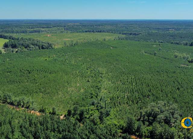 Property at 0 Allmon Rd, Butler, GA 31006