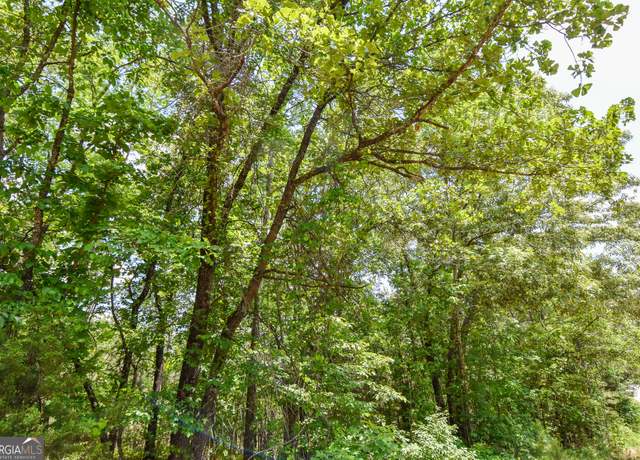 Property at 0 Skelton Rd Lot 14, Thomaston, GA 30286