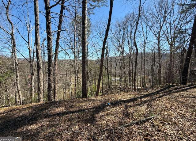 Property at 1035 Sky Hawk Mountain Dr, Hiawassee, GA 30546