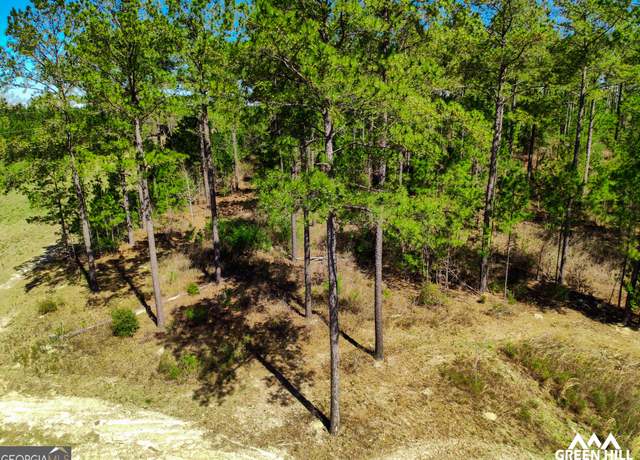 Property at 1 Americus Hwy, Rupert, GA 31081