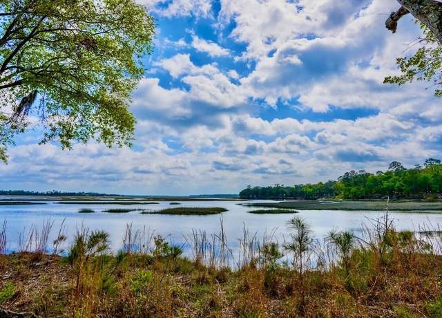 Property at 0 Simons Bluff Rd, Woodbine, GA 31569
