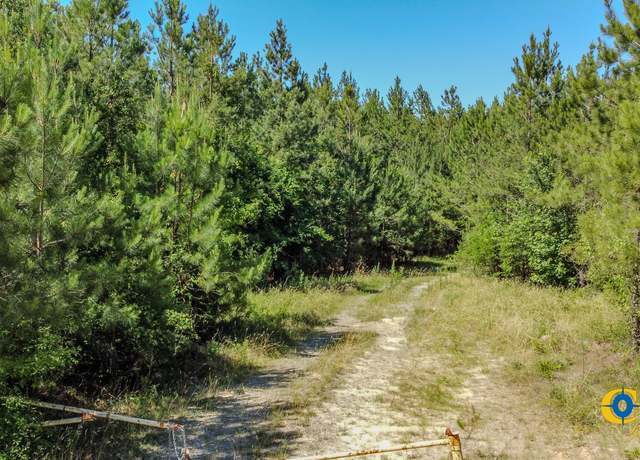 Property at 0 Allmon Rd, Butler, GA 31006