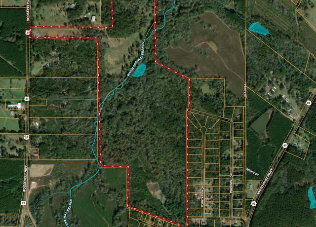 Property at 146 ACRES Roosevelt Hwy, Warm Springs, GA 31830