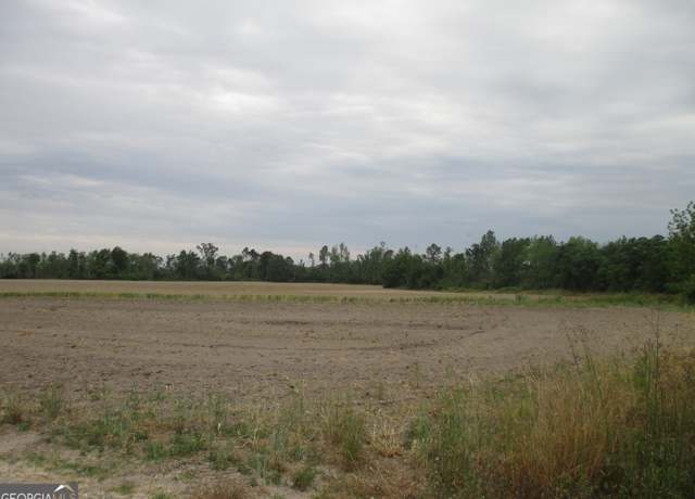 Property at 08600022T5 Redbird Rd, Lumber City, GA 31549