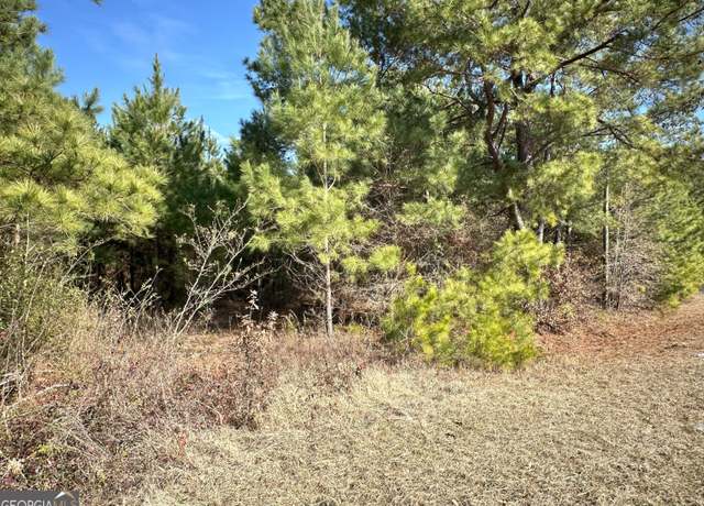 Property at 0 MT Pleasant Church Rd, Pineview, GA 31071