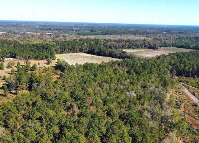 Property at 99 Old Happy Ln Unit 268 ACRES, Brooklet, GA 30415