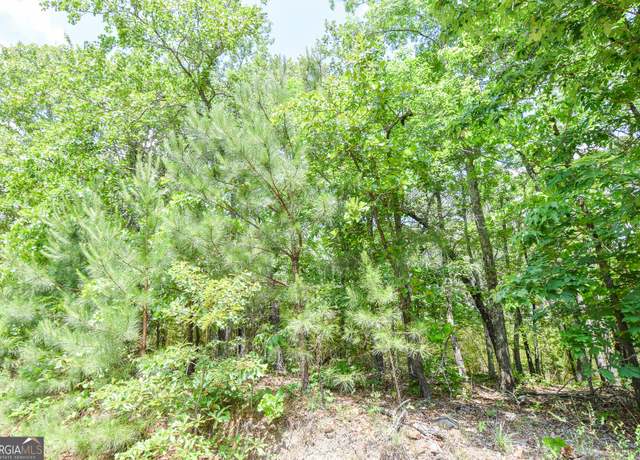 Property at 0 Skelton Rd Lot 15, Thomaston, GA 30286