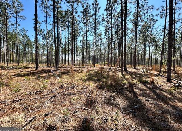 Property at 0 Gunn Rd, Sumner, GA 31789
