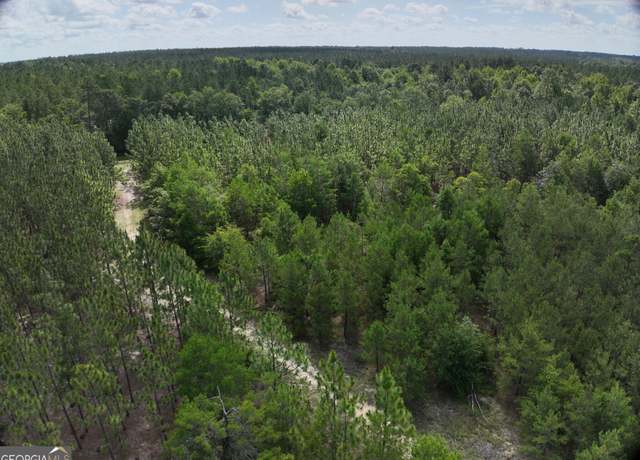 Property at 0 Drew Bennett Rd, Midville, GA 30441