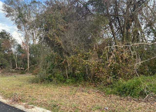 Property at LT 16 Loop Rd, Denton, GA 31532
