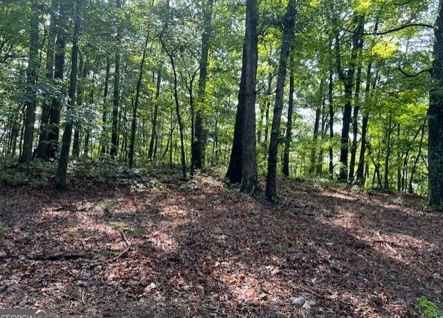 Property at TR10 - 4.64 ACR Wendy Hill Rd, Talking Rock, GA 30175