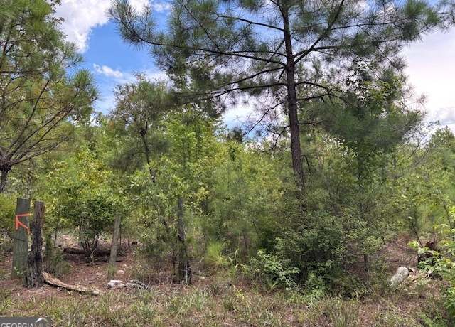 Property at 0 Simons Rd Lot 3, Thomson, GA 30824