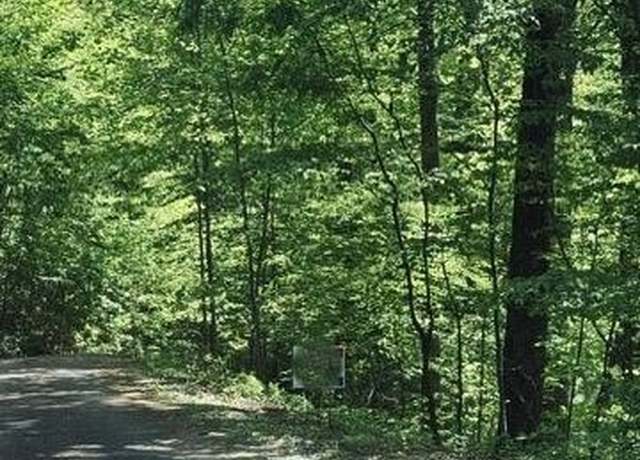 Property at 409 & 411 Barefoot Rise, Hiawassee, GA 30546