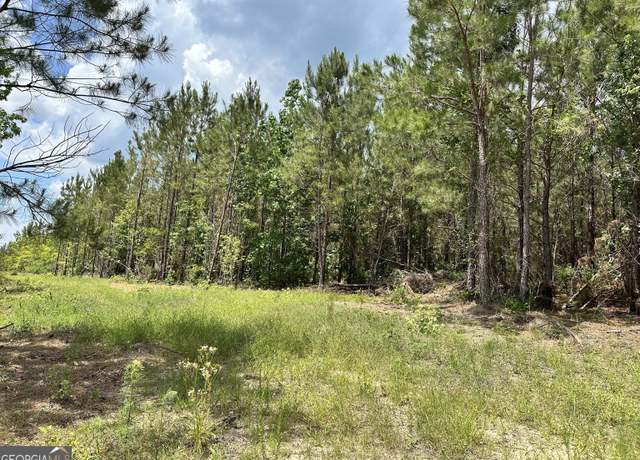Property at 0 Highway 19, Dublin, GA 31021
