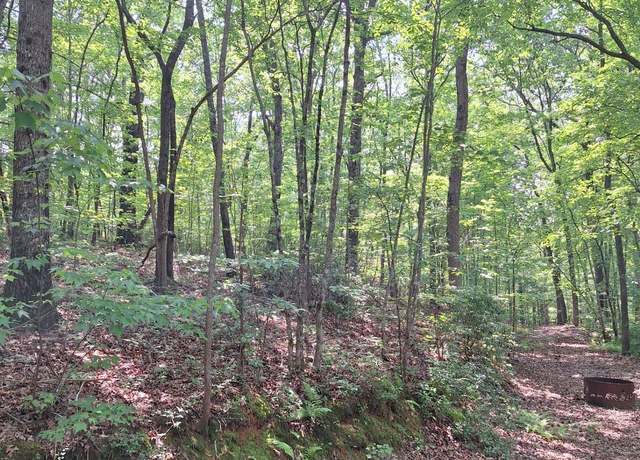 Property at 0 Sun Rock Mountain Trce, Blue Ridge, GA 30513