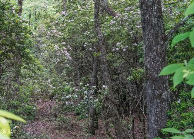 Property at 0 Rainbow Lake Dr Unit 38B, Dillard, GA 30537