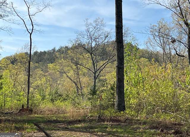 Property at 0 Stone Pile Gap Rd, Ellijay, GA 30540