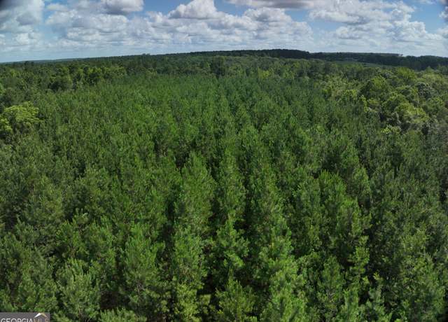 Property at 0 Payton Rd, Garfield, GA 30425
