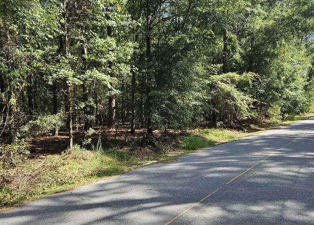 Property at 0 Cork Pond Rd, Sylvania, GA 30467