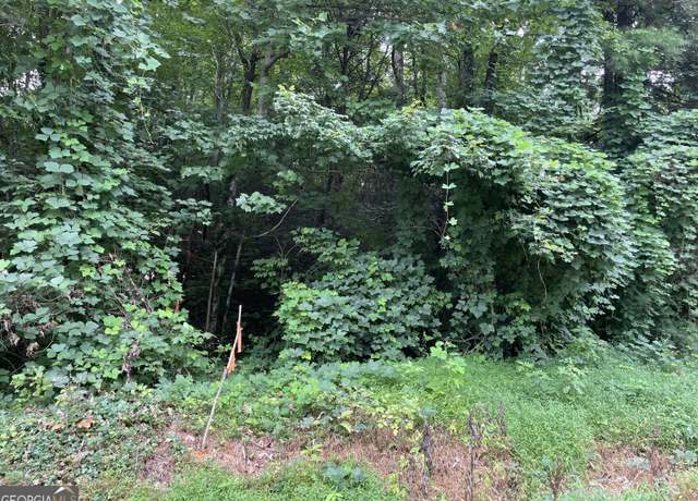 Property at 0 Travelers, Clayton, GA 30525