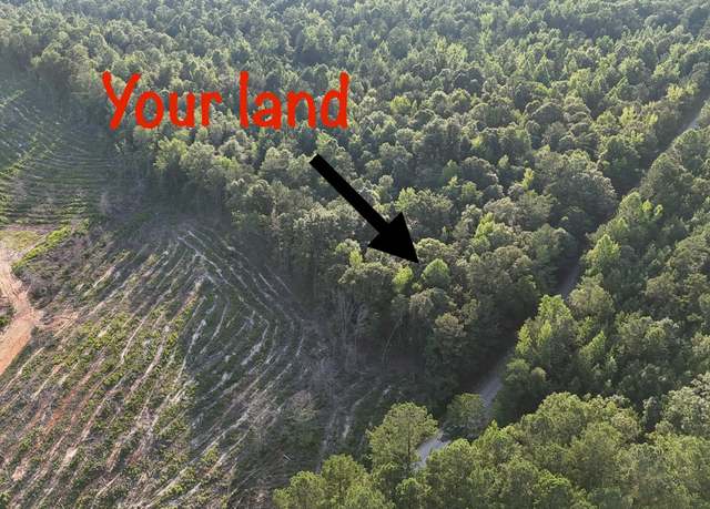 Property at 0 Cunningham Rd, Greensboro, GA 30642