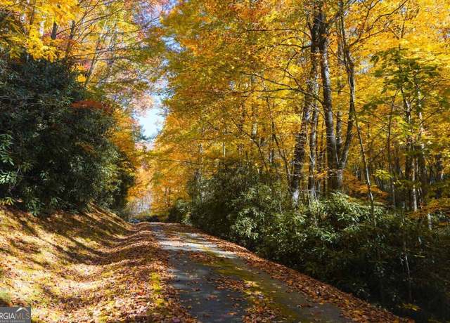 Property at 0 Bald Mtn Unit 55,57, Dillard, GA 30537