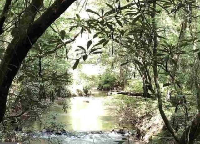 Property at 0 Dean Mountain Rd, Cleveland, GA 30528