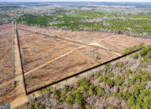 Property at 869 Marion-ripley Rd, Dry Branch, GA 31020