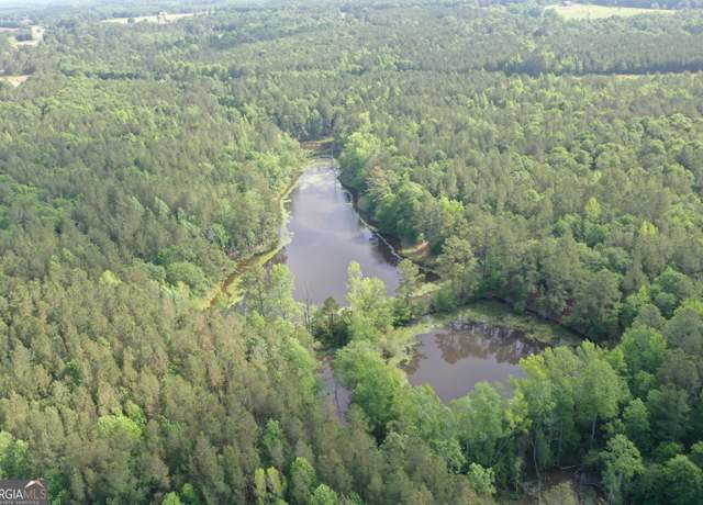 Property at 0 N Hwy 171, Gibson, GA 30810