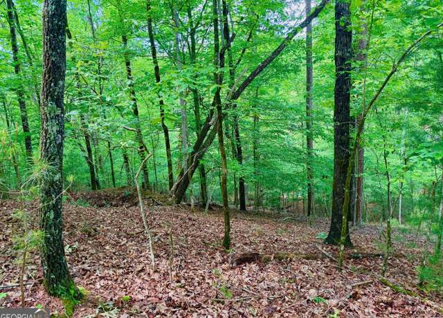 Property at 1190 Gibe Ct, Ellijay, GA 30540