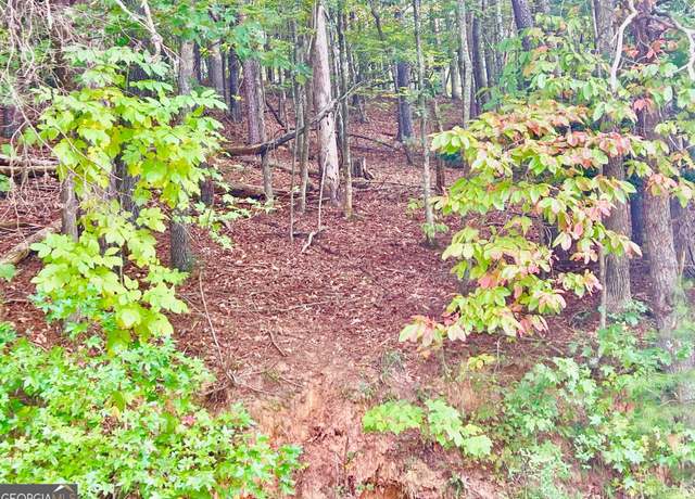 Property at 12 Cherokee Dr, Ellijay, GA 30540