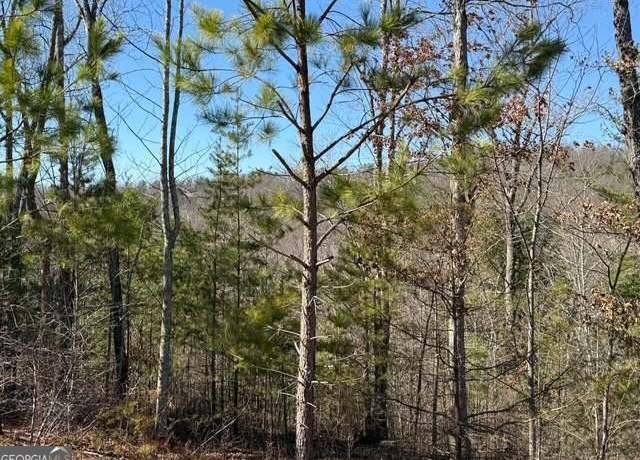 Property at LOT 11 Long View Ln, Blue Ridge, GA 30513
