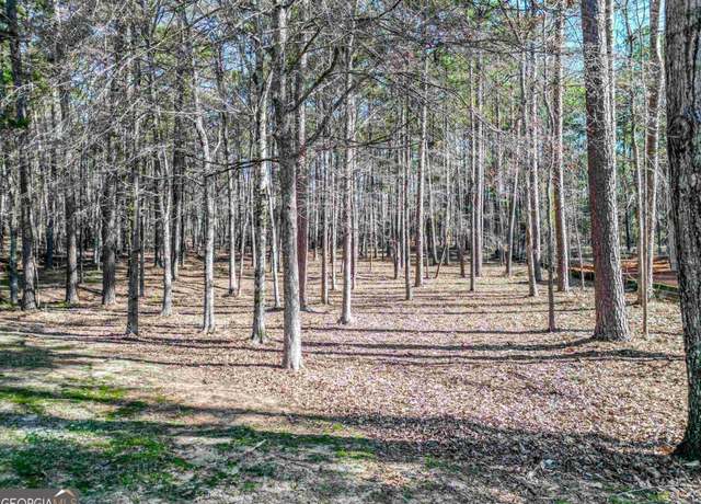 Property at 1050 Centennial Post Ln, Greensboro, GA 30642