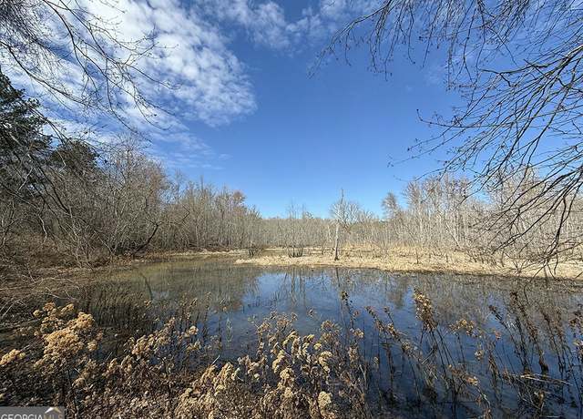 Property at 0 White Springs Rd, Dry Branch, GA 31020