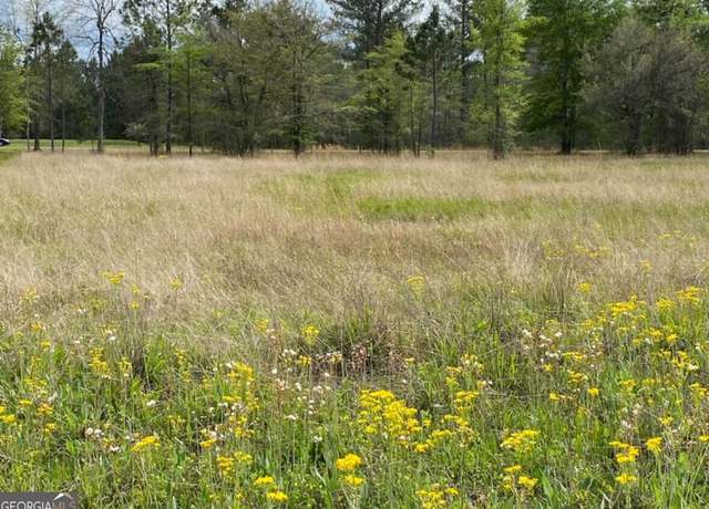 Property at 0 Main Trl, Fleming, GA 31309