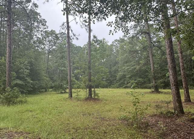 Property at 0 Sara Lynn Dr, Claxton, GA 30417