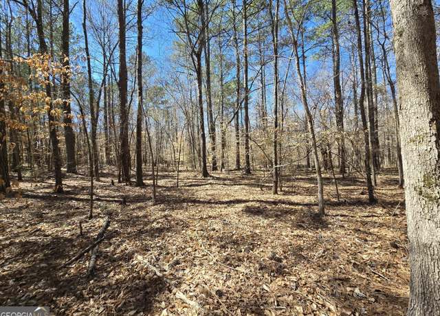 Property at 0 River Shoals Ct, Covington, GA 30016