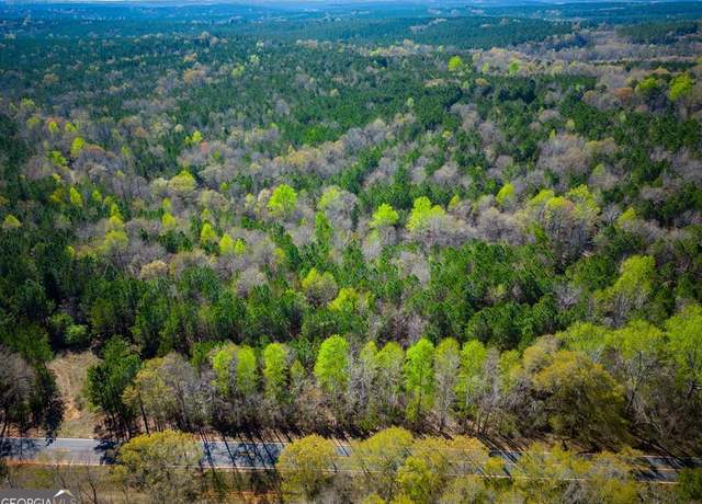 Property at 967 Johnny Miller Rd, Buena Vista, GA 31803