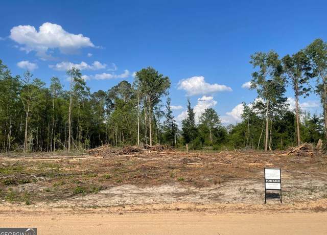 Property at 0 Sam Anderson Rd, Glennville, GA 30427
