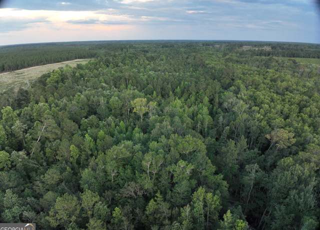Property at 0 S Old Reidsville Rd, Twin City, GA 30471
