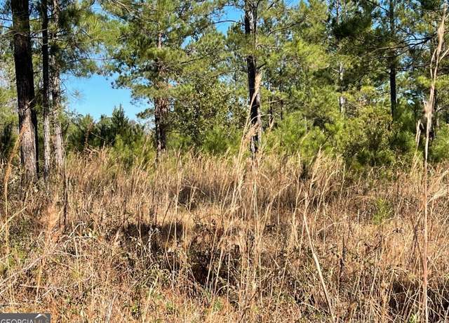 Property at 0 Landing Trl, Waynesville, GA 31566