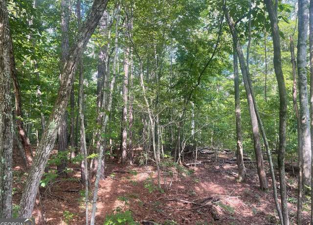 Property at 0 Young Rd, Franklin, GA 30217