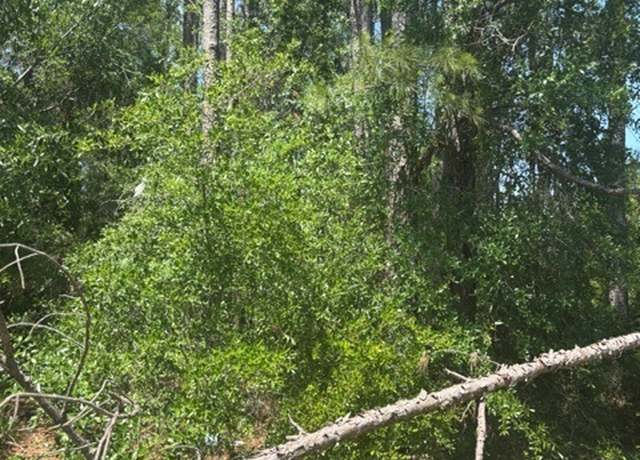 Property at 0 Stoney Brook Way, Reidsville, GA 30453
