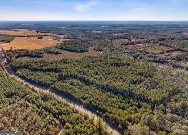 Property at 0 State Road 185, St. George, GA 31562