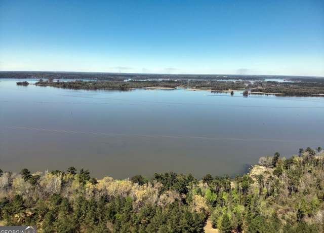 Property at TBD LOT 29 Seminole Ridge S/d, Bainbridge, GA 39817