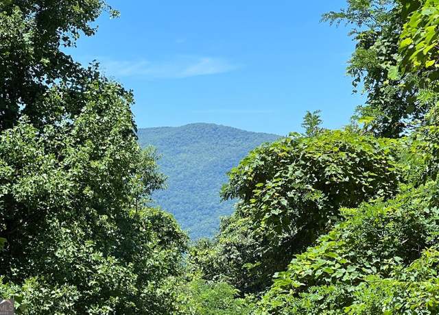 Property at 101 AC Lori's Mtn, Hayesville, NC 28904