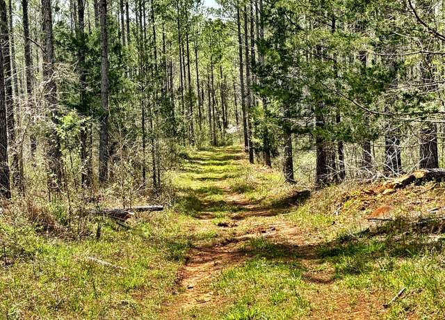Property at 0 Co Rd 12, Talbotton, GA 31827