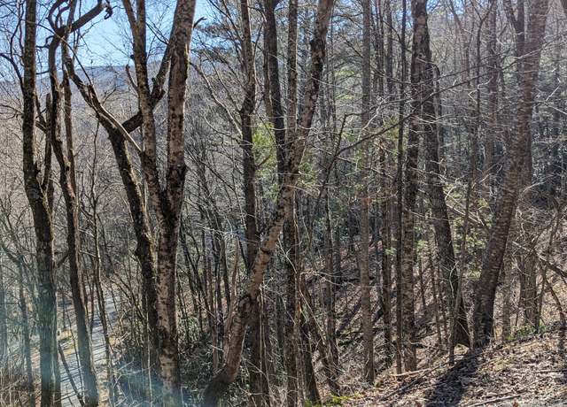 Property at 0 LOT 237 Covered Bridge Ln #237, Sky Valley, GA 30537
