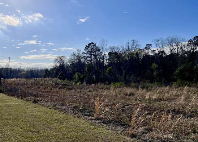 Property at 0 Pine Ridge Rd, Eastman, GA 31023