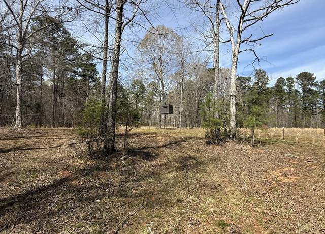 Property at 0 Sugar Creek Trl, Buckhead, GA 30625, 1 bed, 1 bath